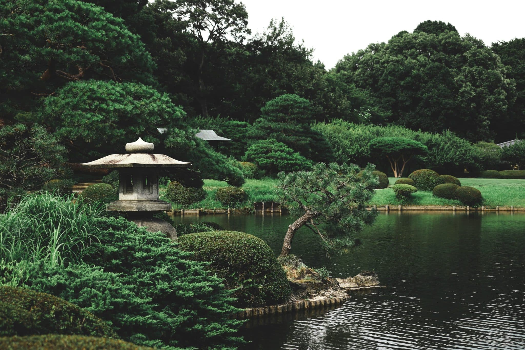 shinjuku gyoen national garden tokyo