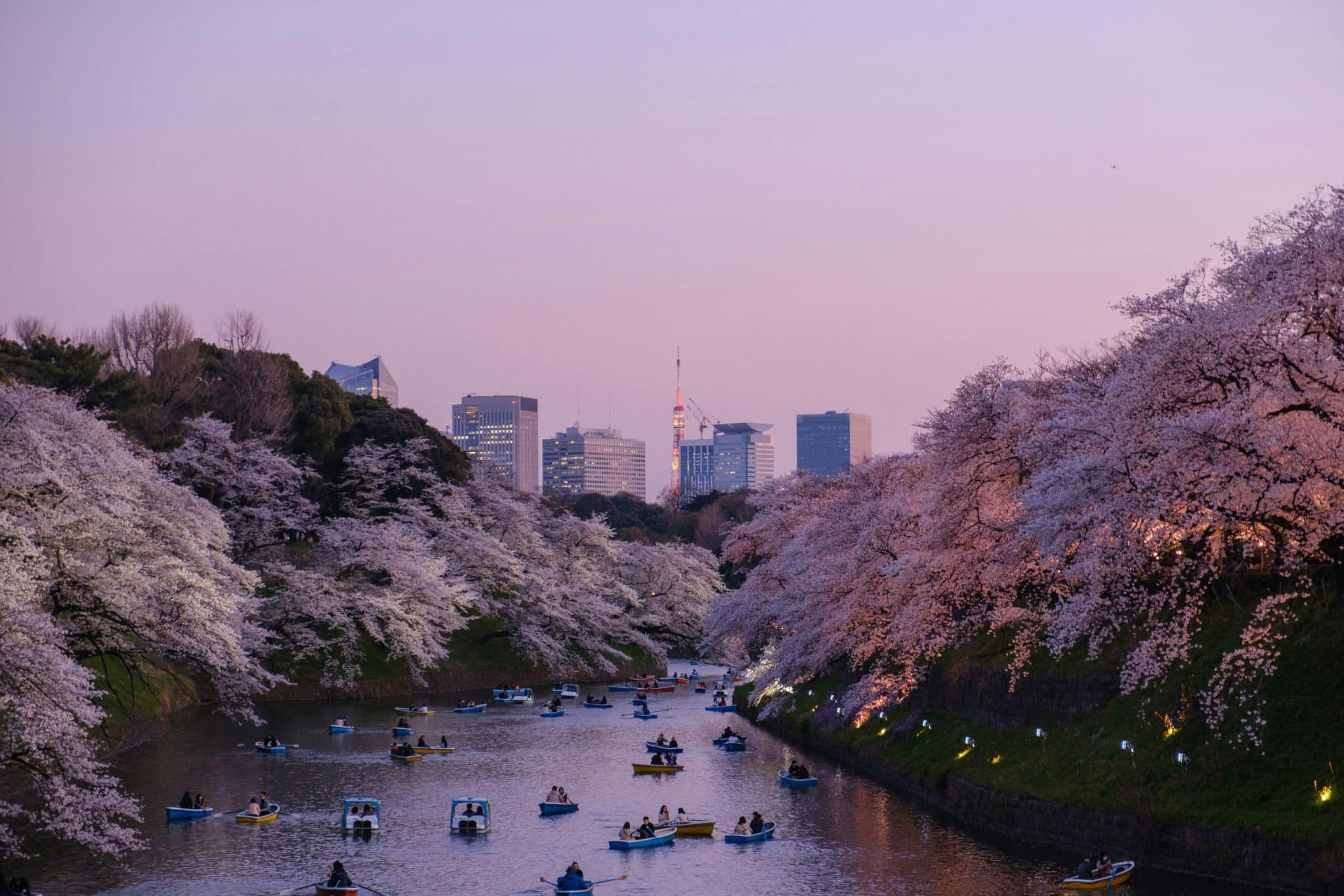 Tokyo City