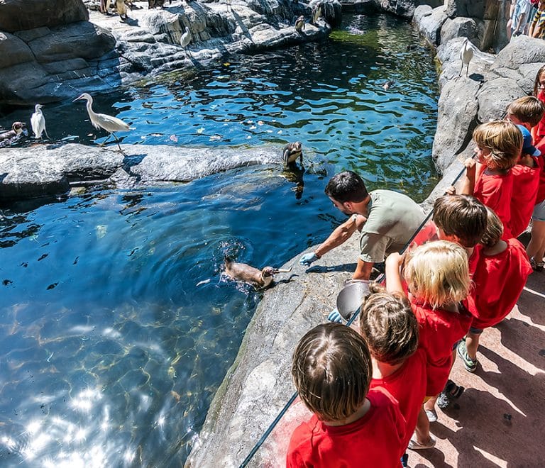 Barcelona Zoo