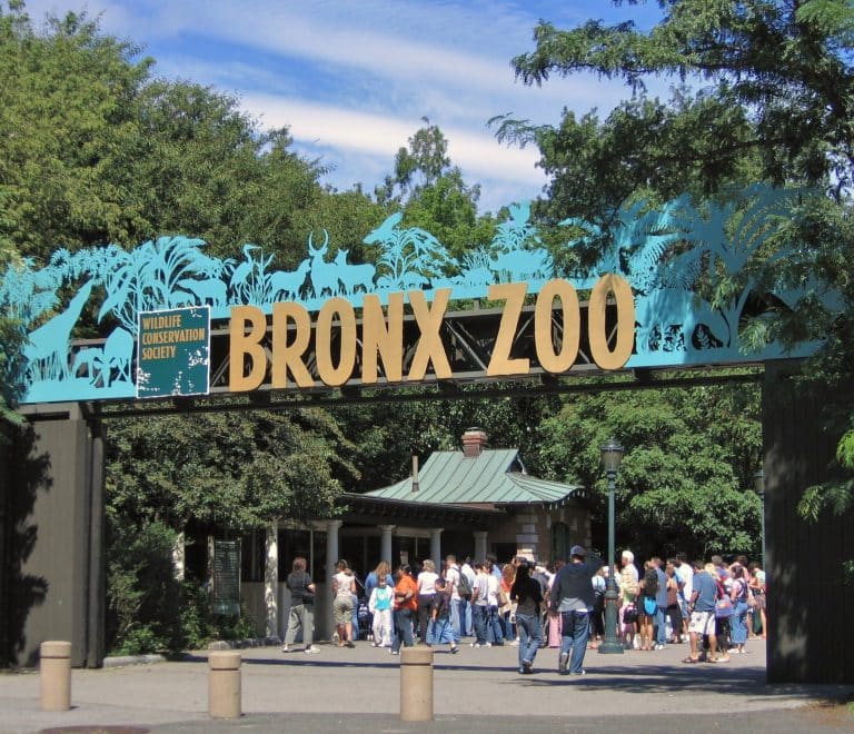 Bronx Zoo