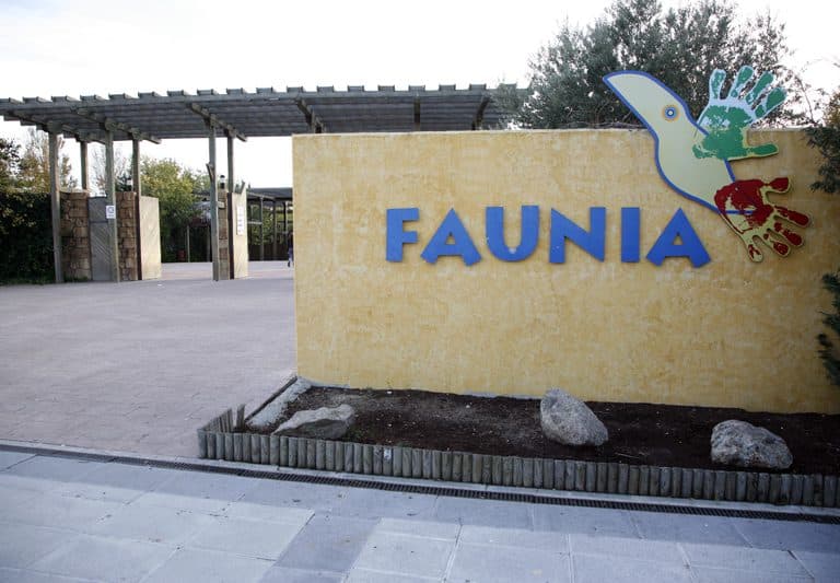 Faunia