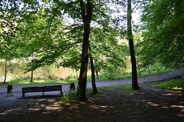 Holosiivskyi National Nature Park