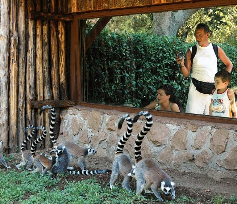 Bioparco di Roma