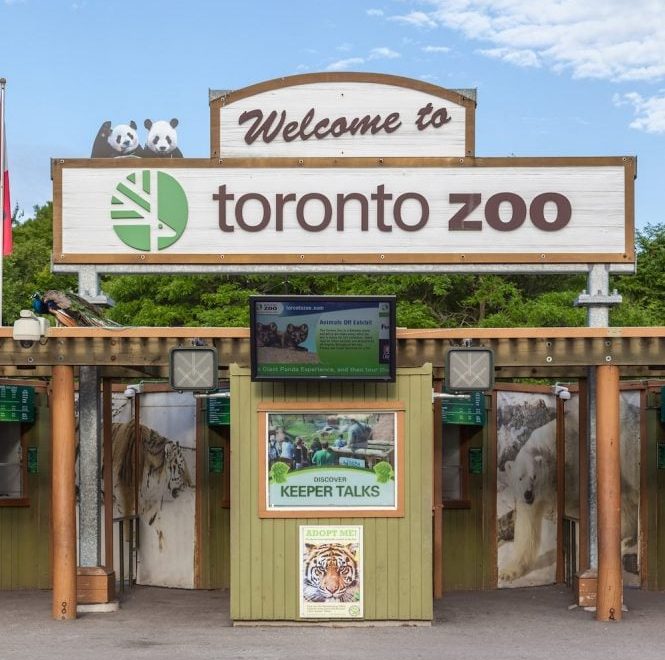 Toronto Zoo