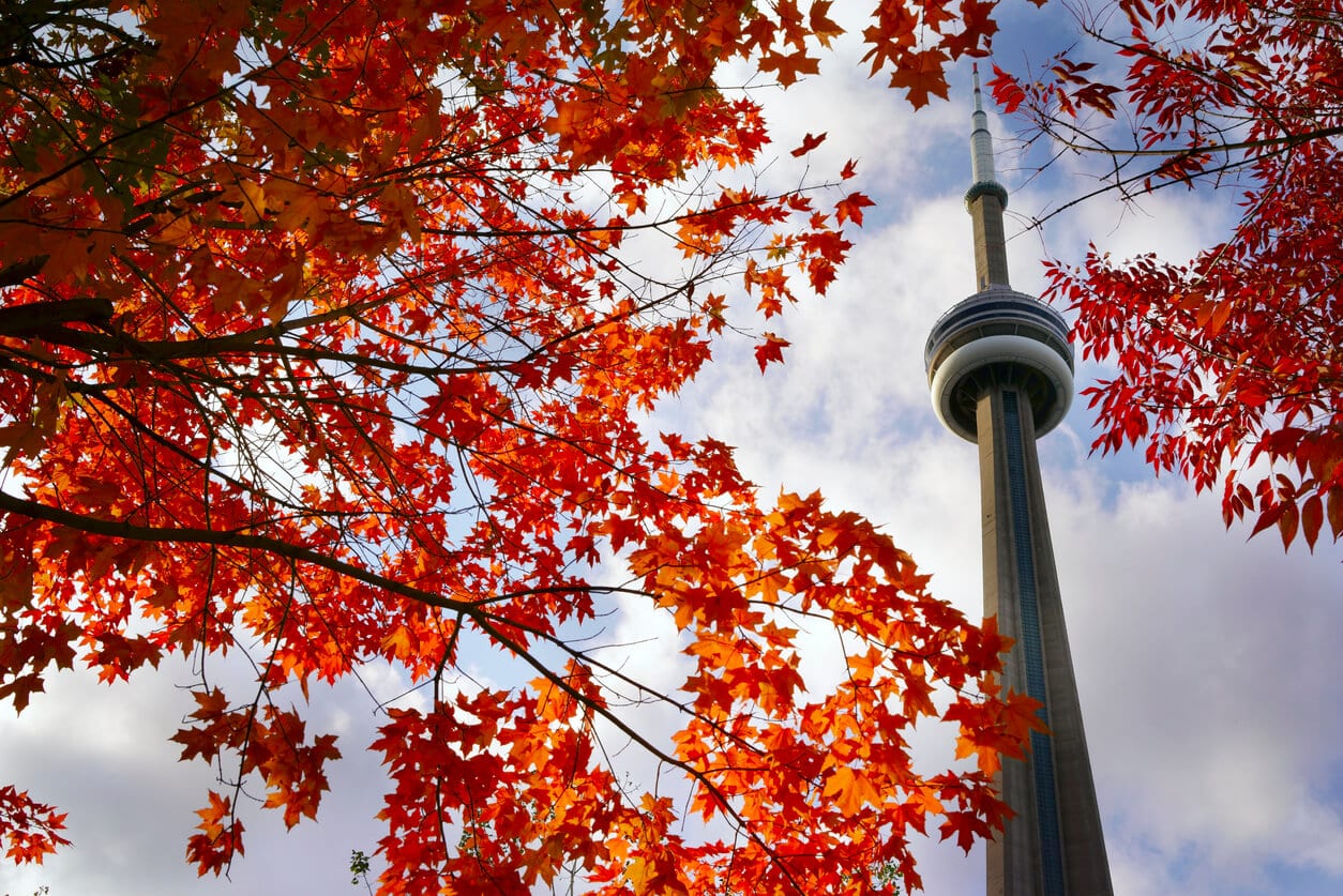 autumn toronto