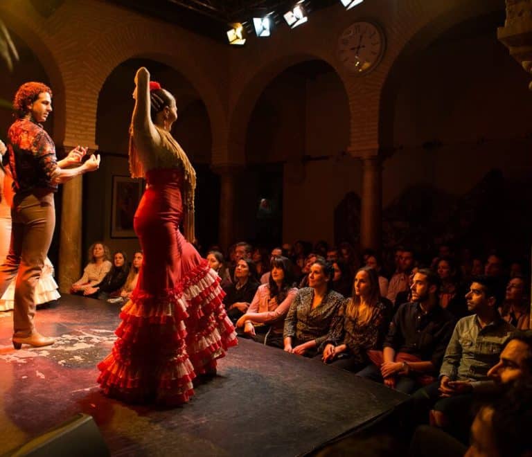 Flamenco Dance Shows