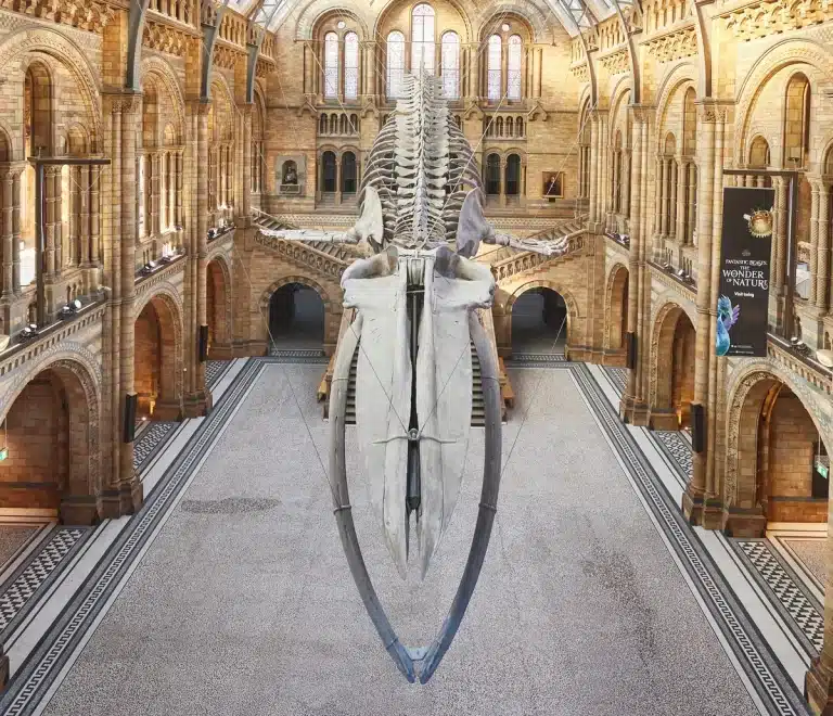 Natural History Museum

