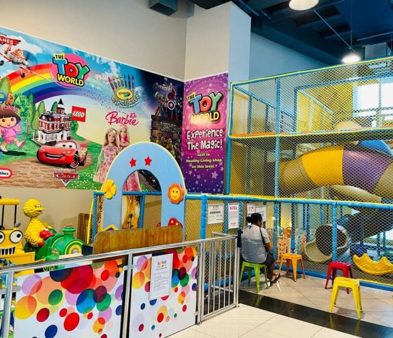 The Indoor Fun World