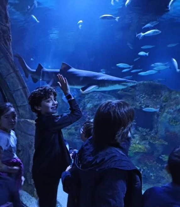 Izmir Aquarium