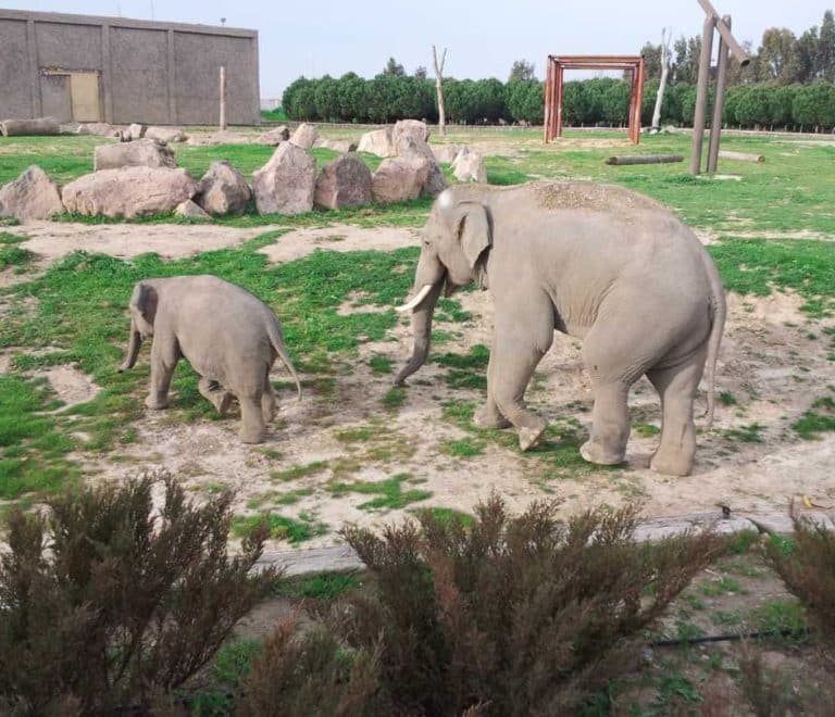 Izmir Wildlife Park