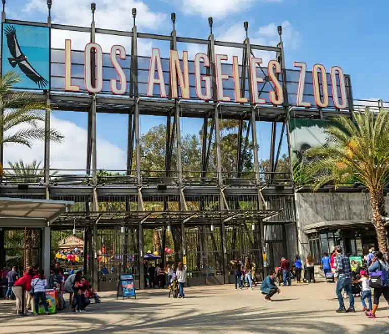 Los Angeles Zoo
