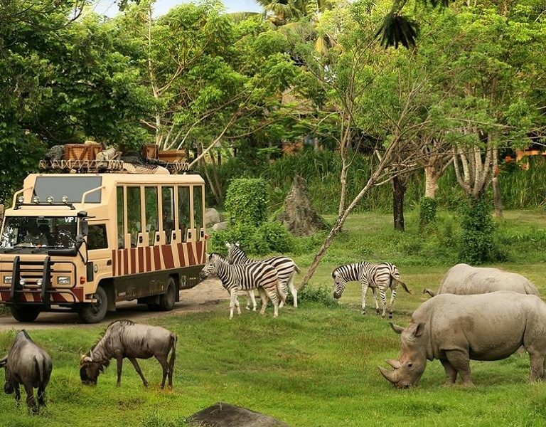 Safari World