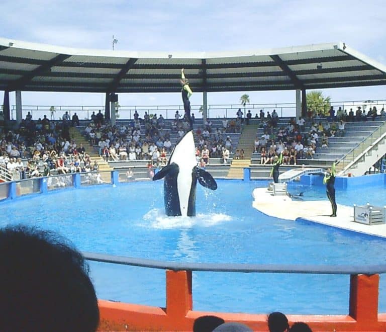 Miami Seaquarium