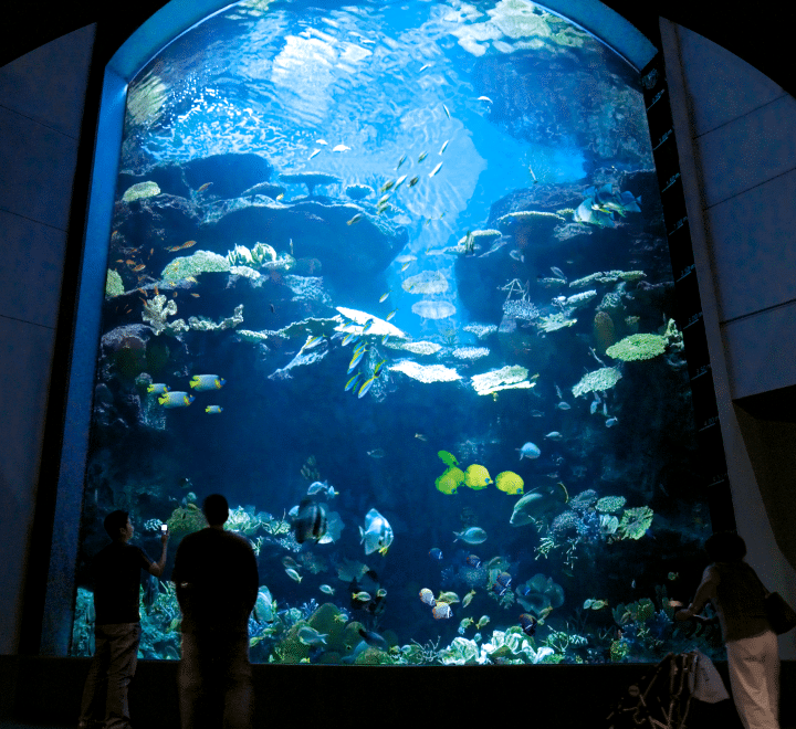 Siam Ocean World