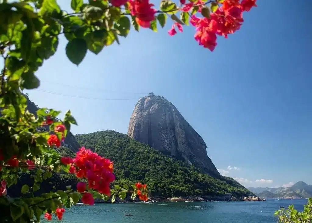 Spring in Rio de Janerio