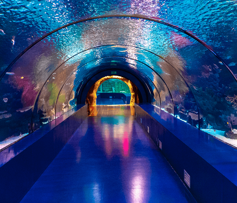 Antalya Aquarium