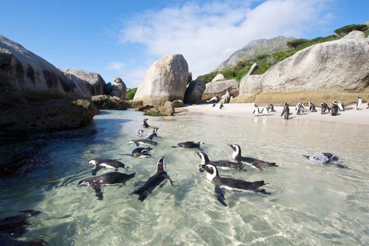 Boulders Beach