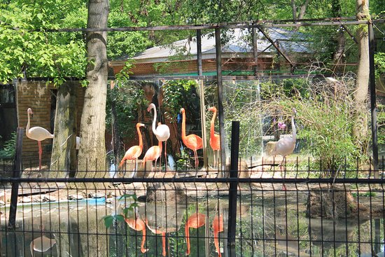 Bucharest Zoo