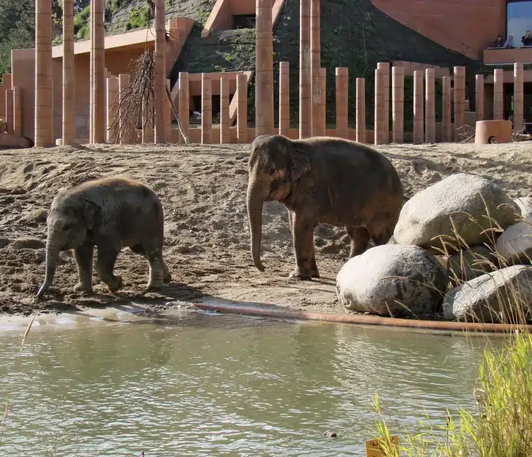 Copenhagen Zoo