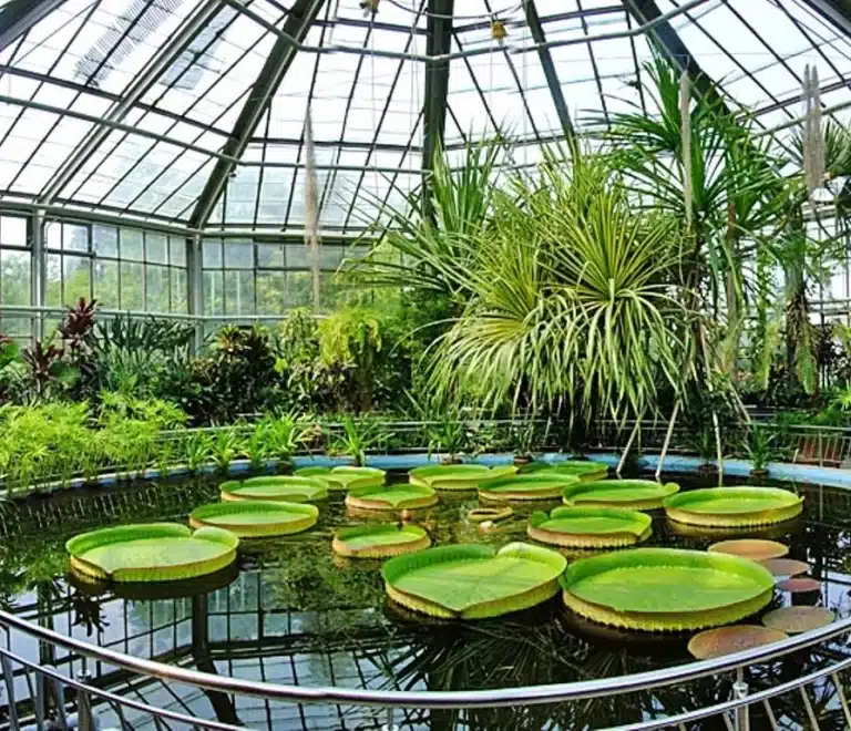 Grădina Botanică (Botanical Garden)