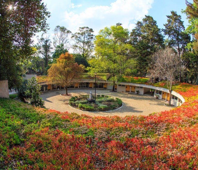 Jardín Botánico del Bosque de Chapultepec