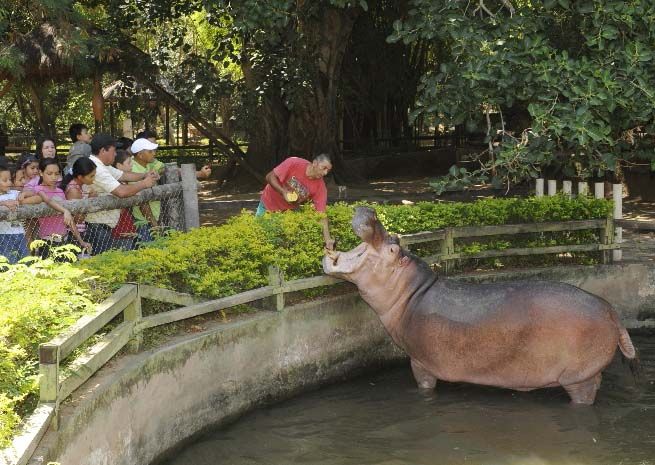 Jardín Botánico y Zoológico de Asunción