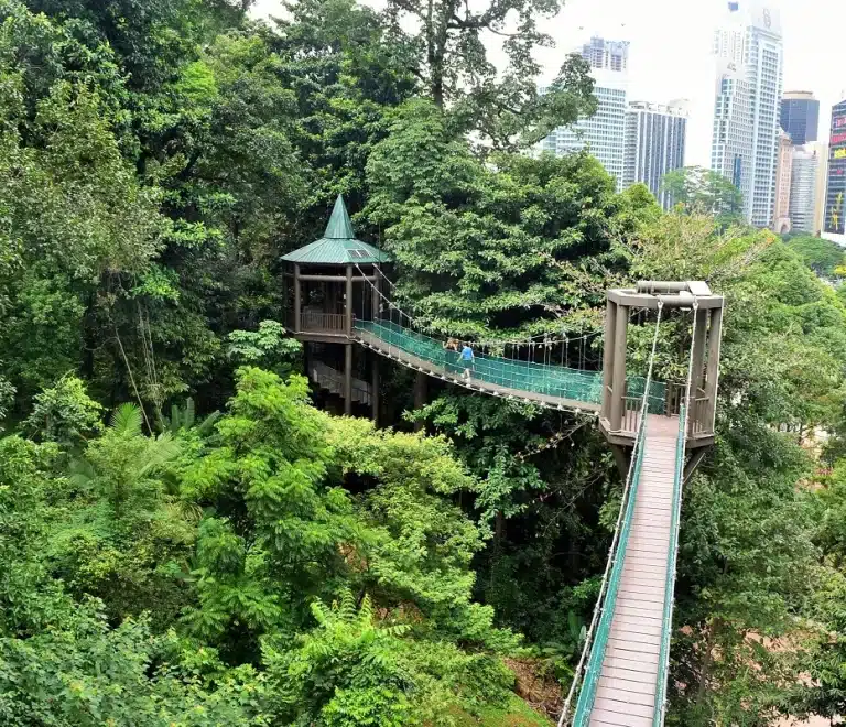 KL Forest Eco Park