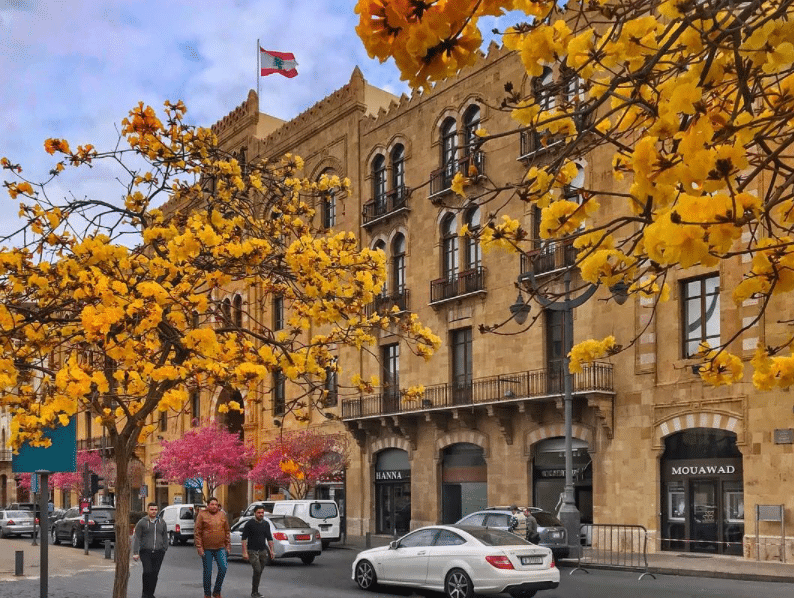 Late Fall Beirut