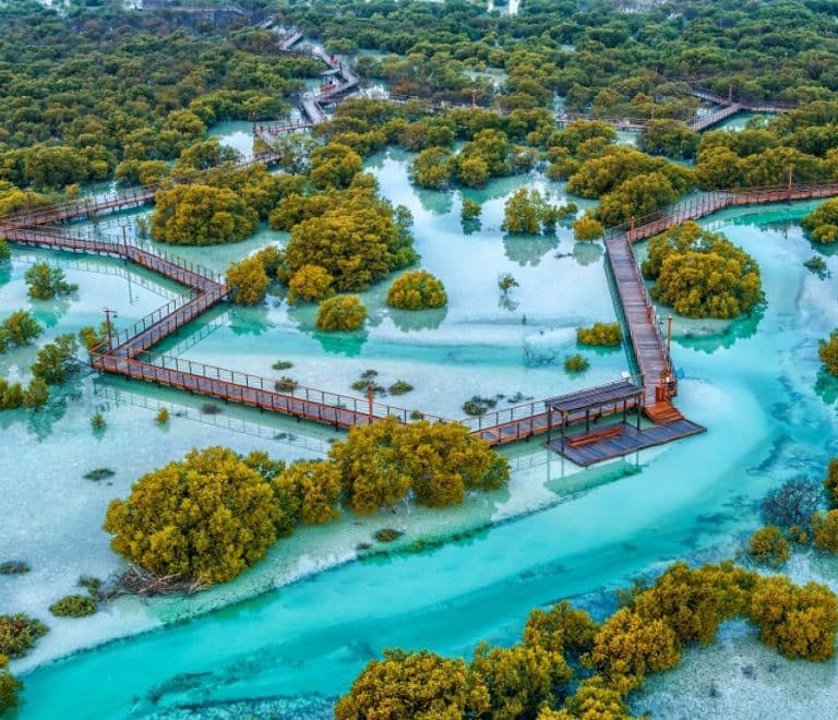 Mangrove National Park