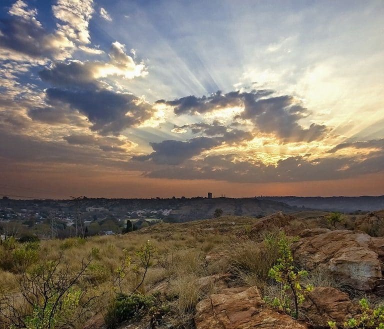 Melville Koppies Nature Reserve