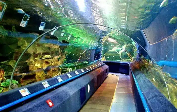 Planeta Neptun Aquarium