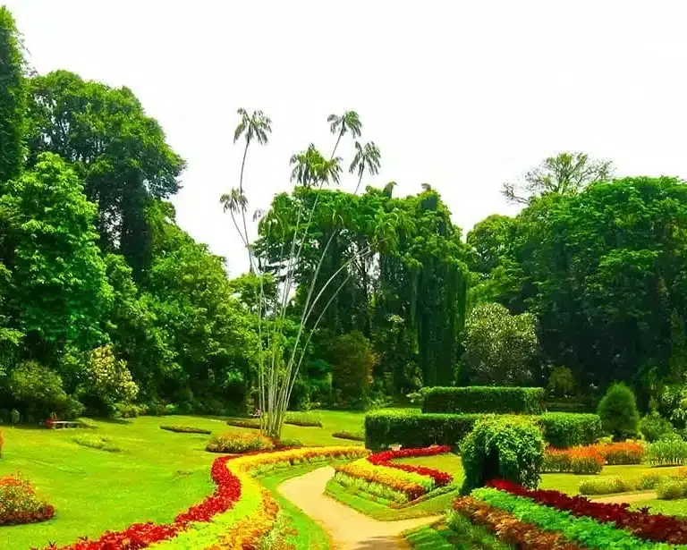 Royal Botanic Garden