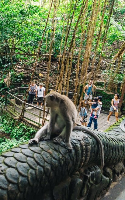 Sacred Monkey Forest Sanctuary