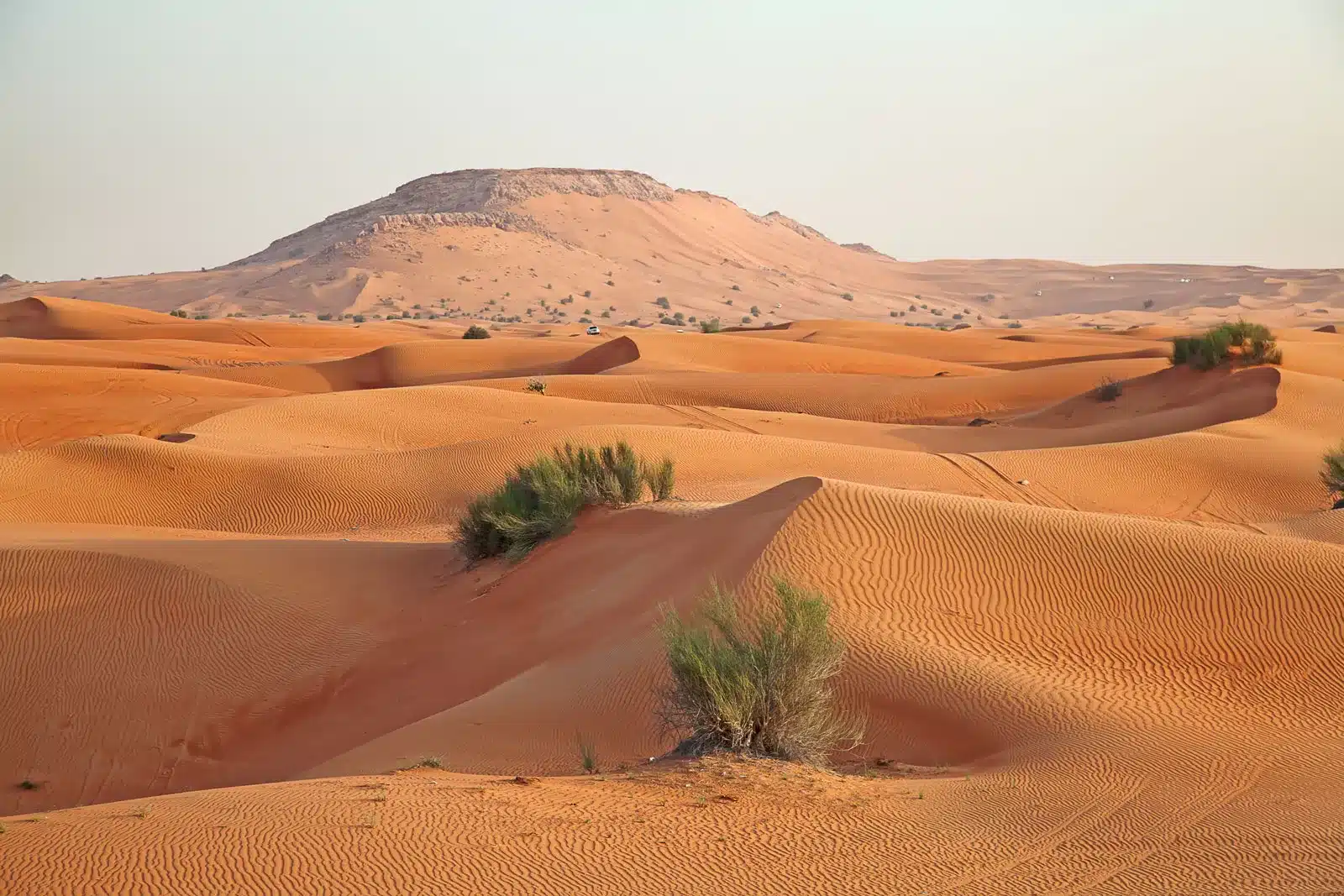 Saudi Arabia Desert