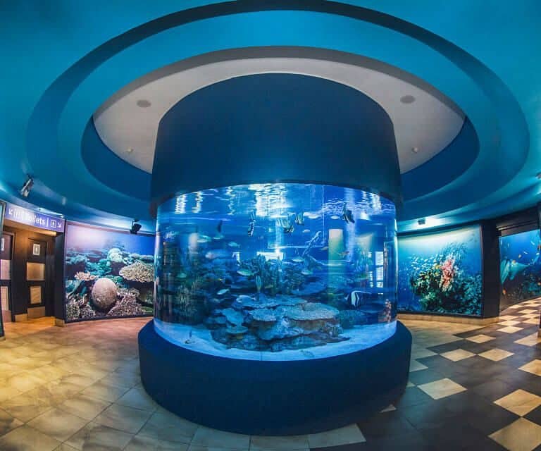 Two Oceans Aquarium