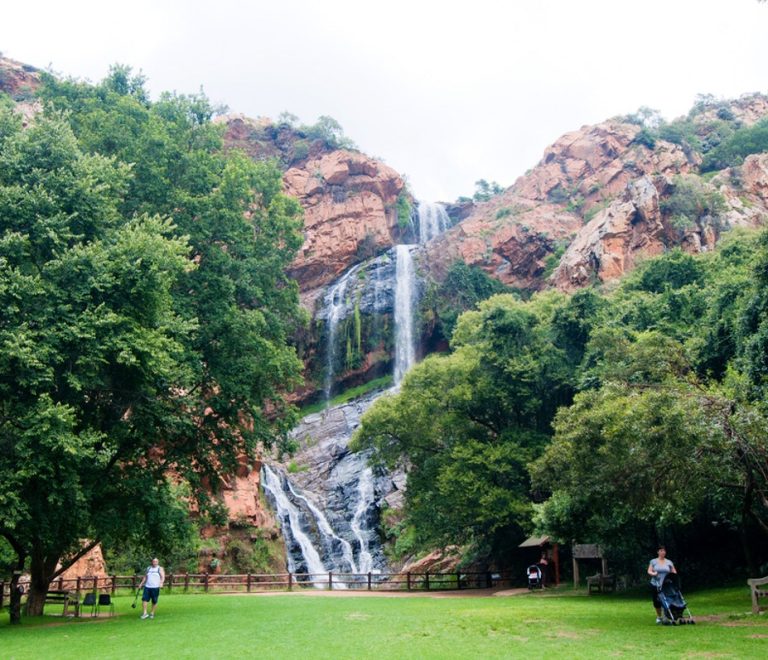 Walter Sisulu National Botanical Garden