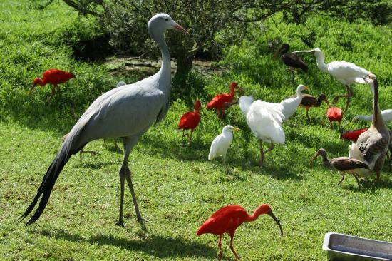 World of Birds Wildlife Sanctuary