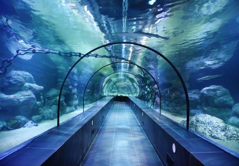 Istanbul Aquarium