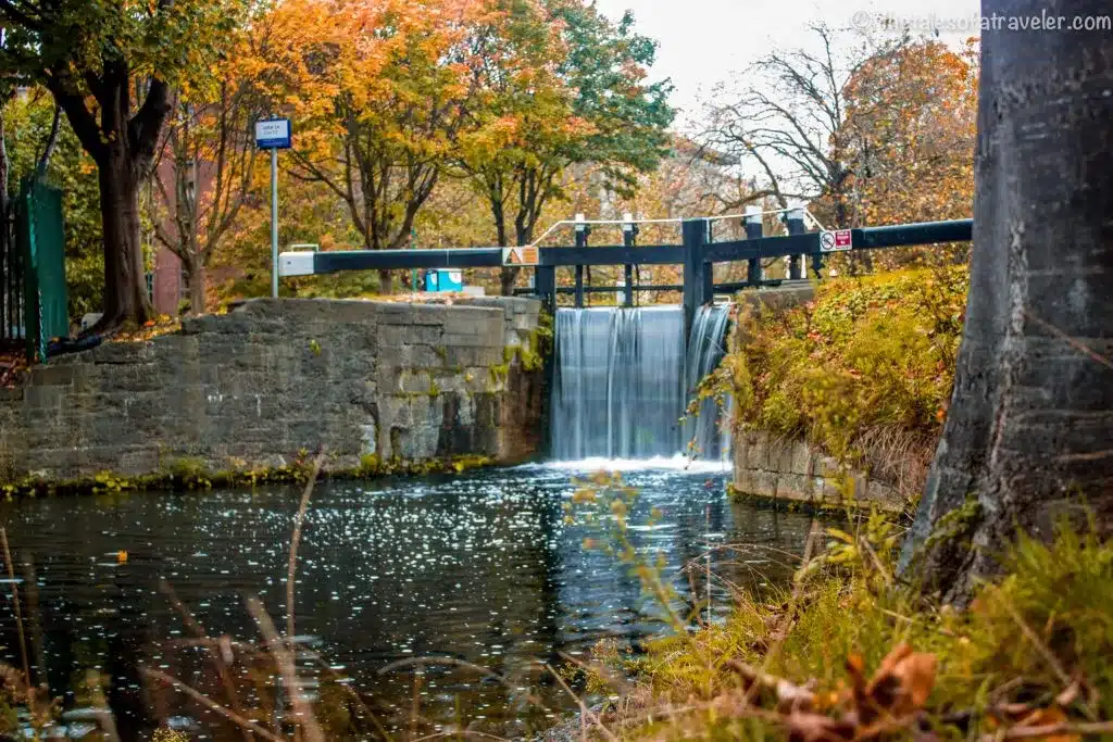 Autumn in Dublin