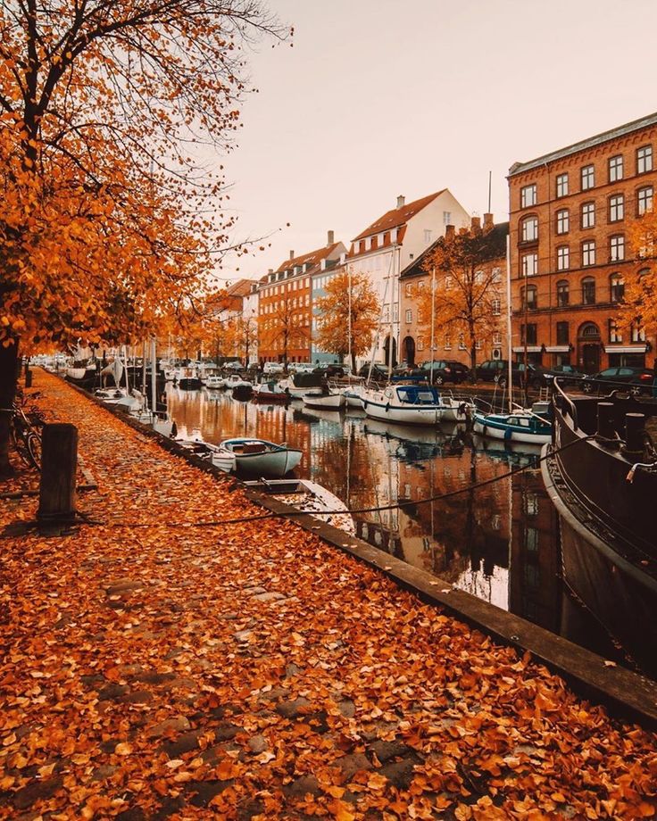 copenhagen autumn