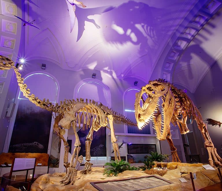 Natural History Museum of Helsinki