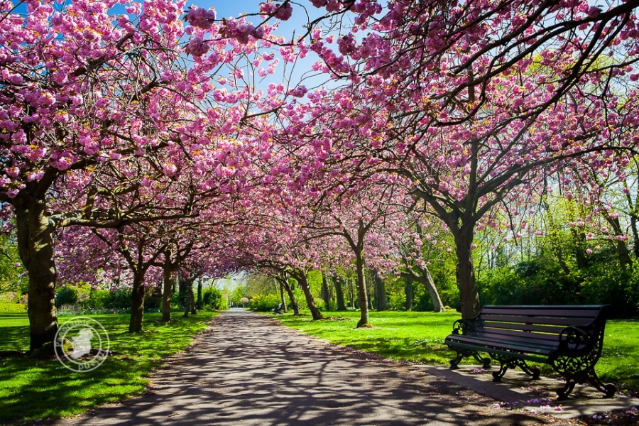 Spring in Dublin