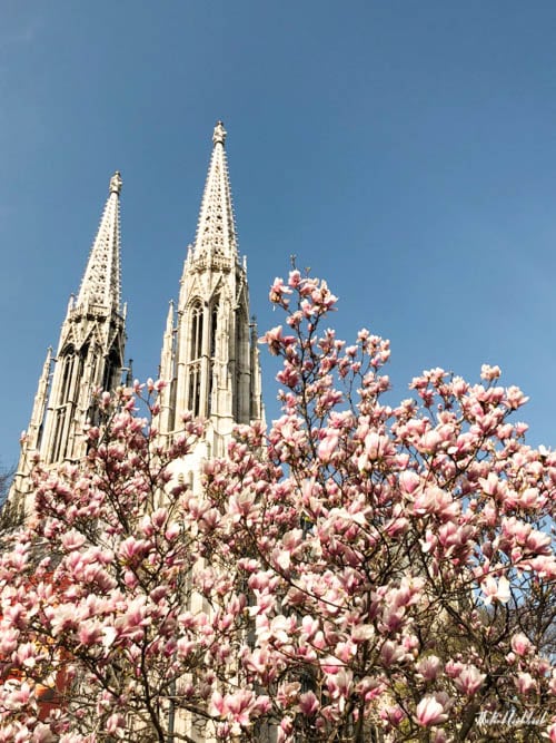 spring vienna