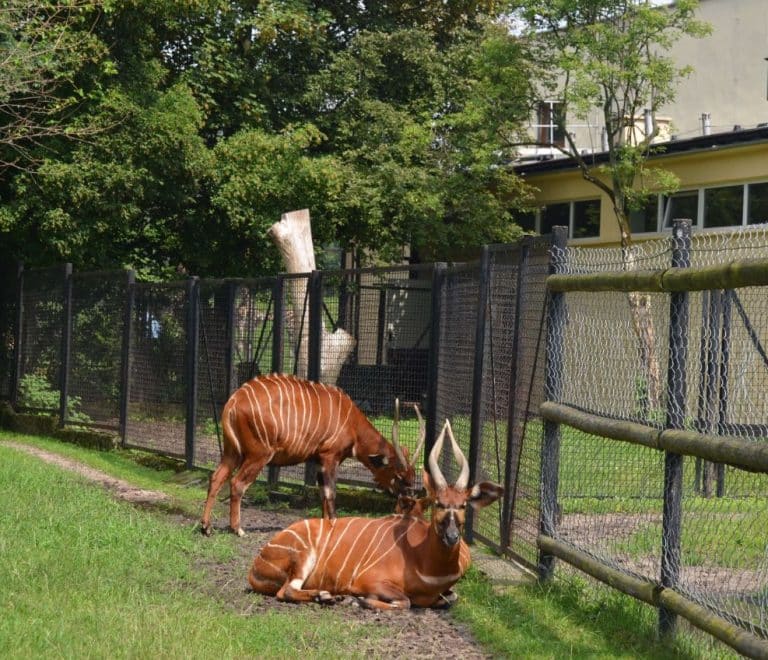 Warsaw Zoo