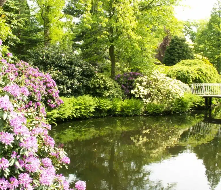 Arboretum Trompenburg