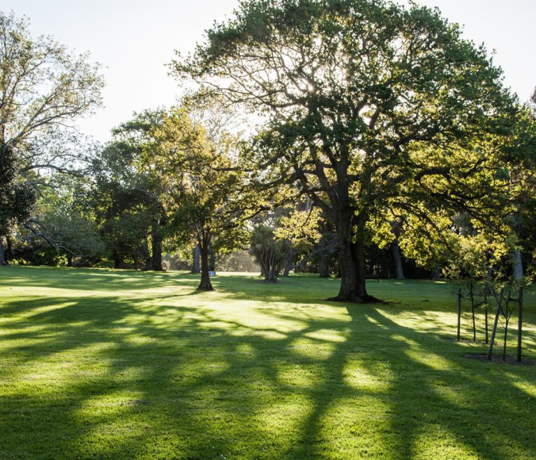 Auckland Domain