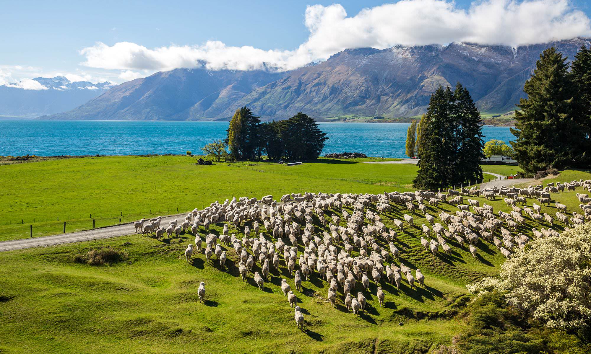 Auckland New Zealand