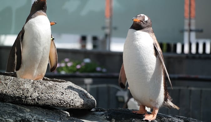 Bergen Aquarium