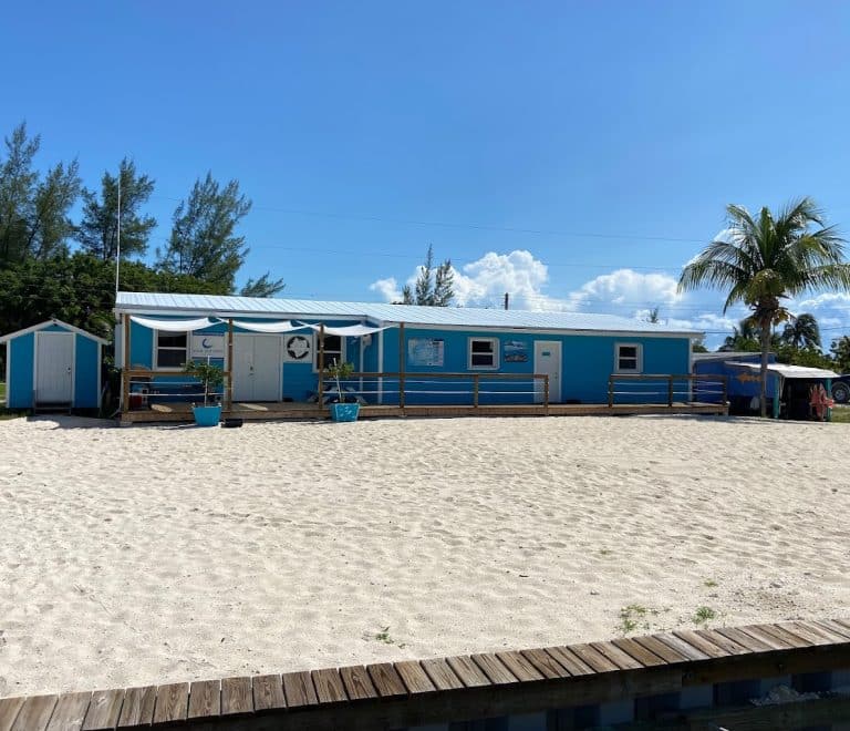 Bimini Shark Lab