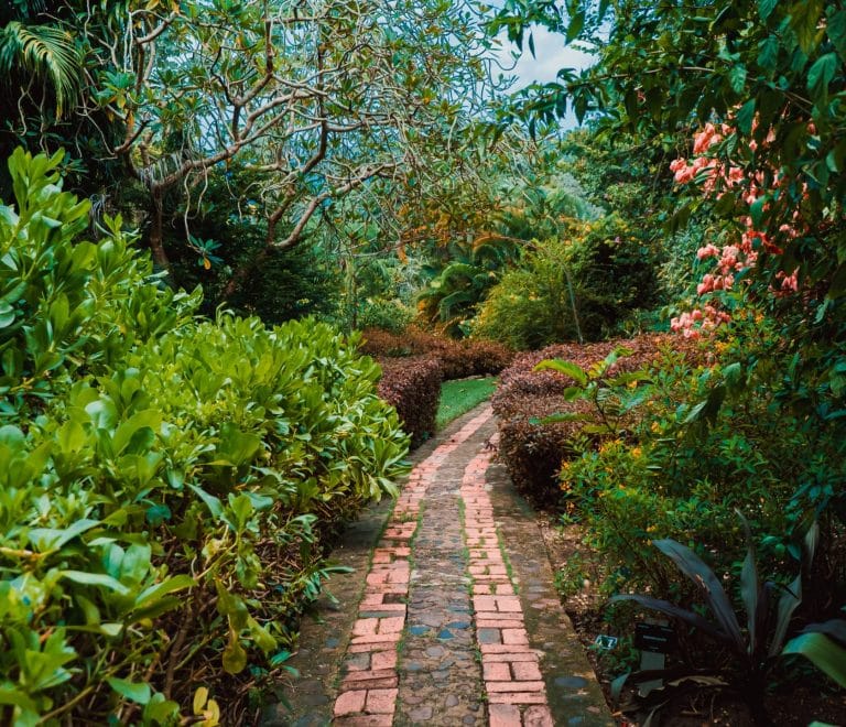 Andromeda Botanic Gardens